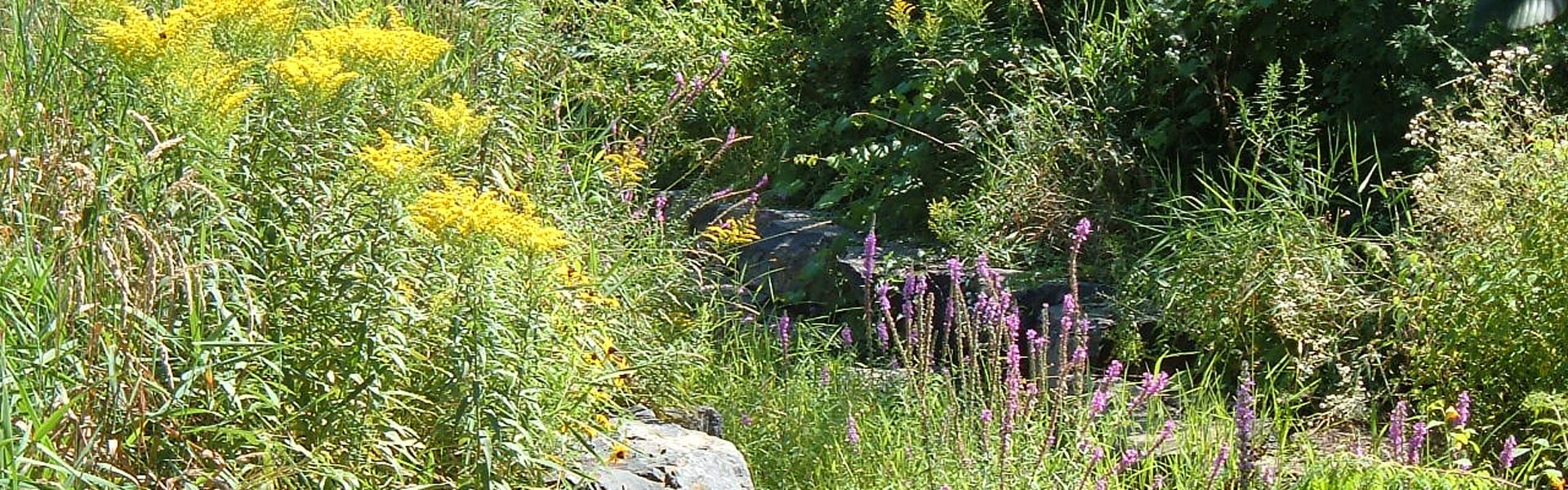 Photo de l'aménagement floral de la halte du rang des Vingt