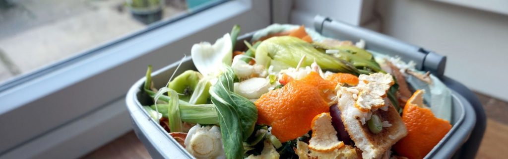 Photo d'un bac de cuisine pour la collecte des matières organiques